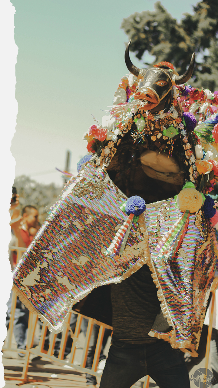 Cultura y Tradición Copándaro